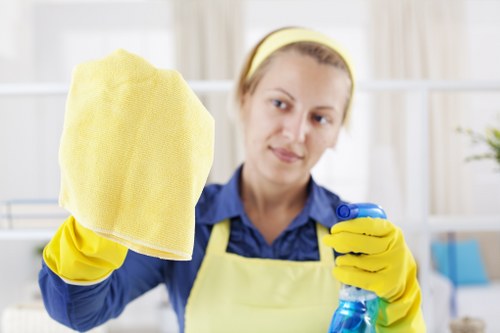 Accessibility statement introduction for Fulwell Carpet Cleaners