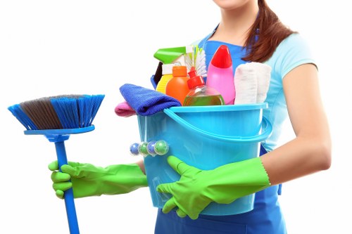 Professional Fulwell carpet cleaners introducing their local cleaning service