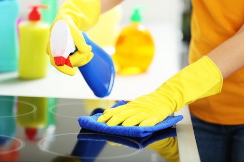 Experienced Fulwell carpet cleaning company focusing on fibre care