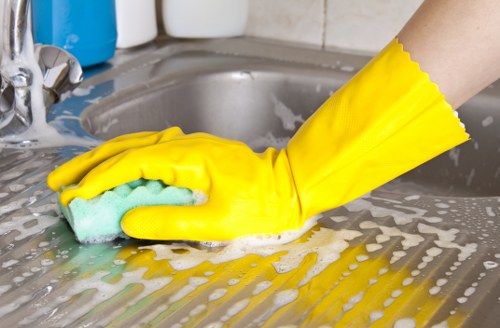 Professional carpet cleaning with caution and care