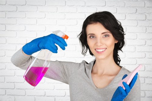 Risk assessment and hazard checks before carpet cleaning begins