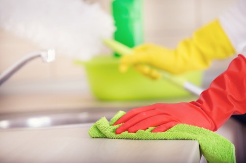 Upholstery treatment for pet stains in a Fulwell home